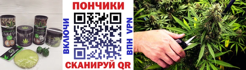 Canna-Cookies марихуана  Купить  Кудрово 