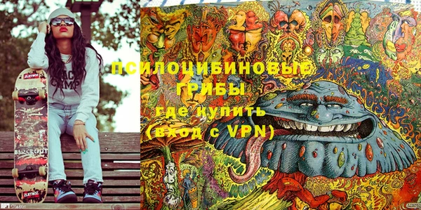 амф Володарск