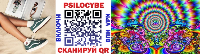 Купить где  Кудрово  Галлюциногенные грибы Magic Shrooms 